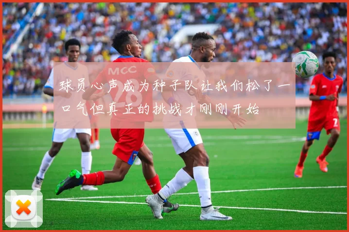 球员心声成为种子队让我们松了一口气但真正的挑战才刚刚开始